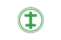 Tether USDT Kryptow&auml;hrung Logo bei Vox Casino